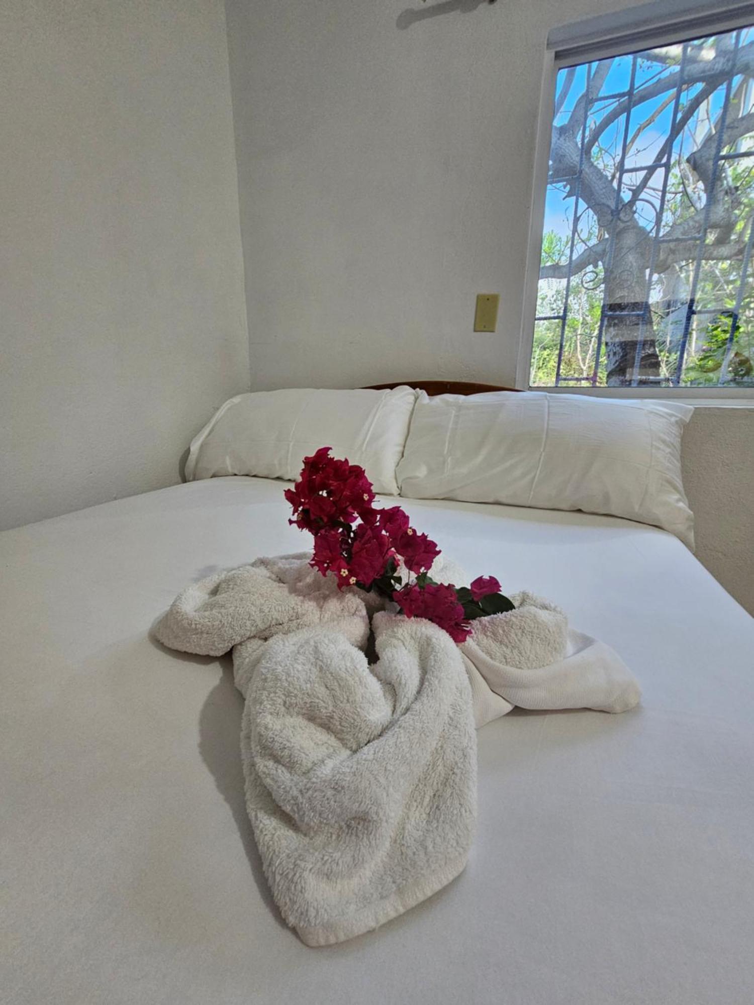 Lovely Inn San Cristobal Exterior photo